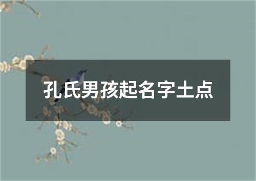 孔氏男孩起名字土点