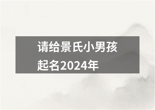 请给景氏小男孩起名2024年