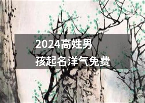 2024高姓男孩起名洋气免费