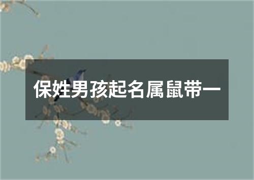 保姓男孩起名属鼠带一