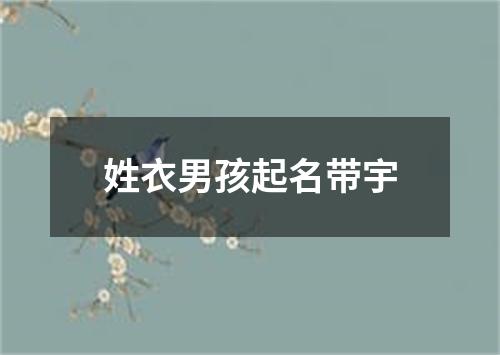 姓衣男孩起名带宇