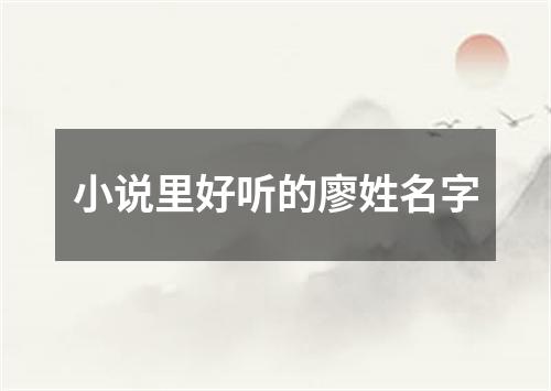 小说里好听的廖姓名字