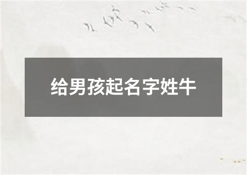 给男孩起名字姓牛