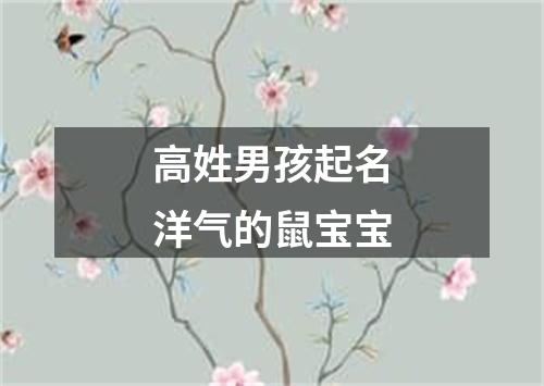 高姓男孩起名洋气的鼠宝宝