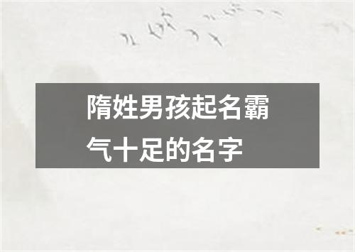 隋姓男孩起名霸气十足的名字