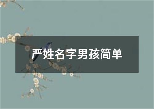 严姓名字男孩简单