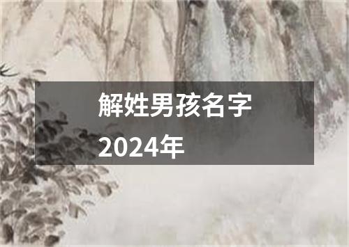 解姓男孩名字2024年