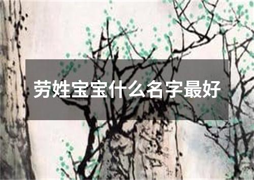 劳姓宝宝什么名字最好