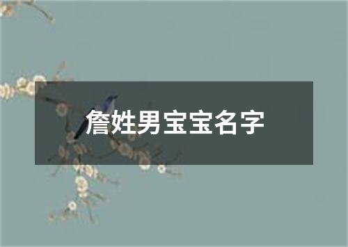 詹姓男宝宝名字