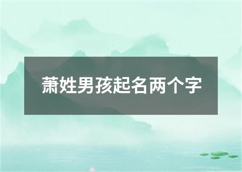 萧姓男孩起名两个字