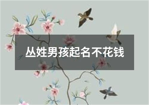 丛姓男孩起名不花钱