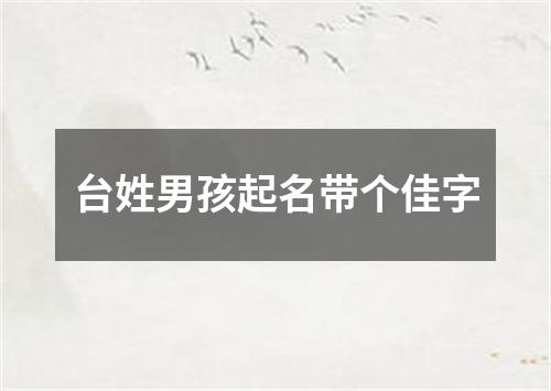 台姓男孩起名带个佳字