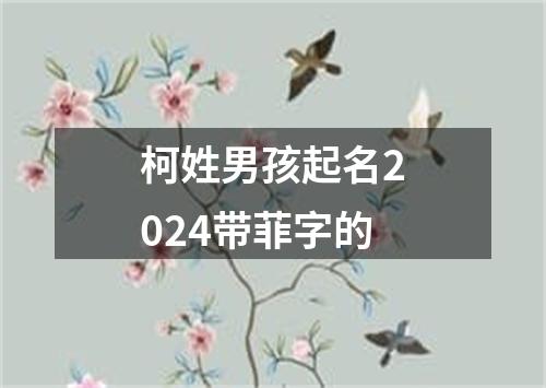 柯姓男孩起名2024带菲字的