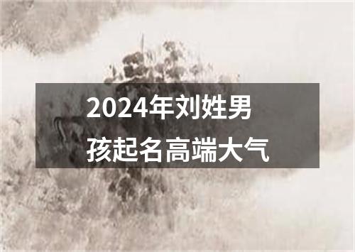 2024年刘姓男孩起名高端大气