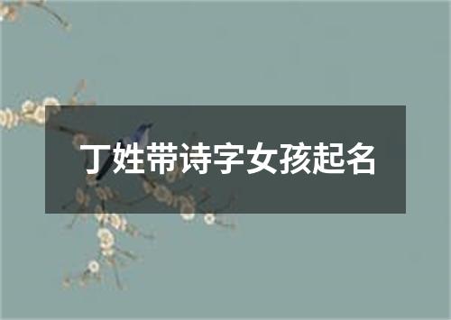 丁姓带诗字女孩起名