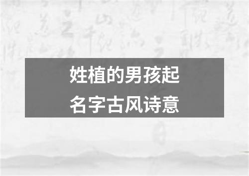 姓植的男孩起名字古风诗意