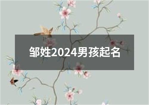 邹姓2024男孩起名