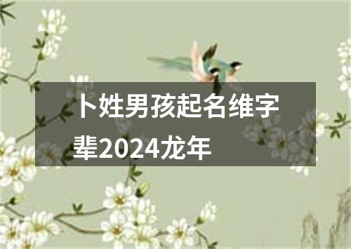 卜姓男孩起名维字辈2024龙年