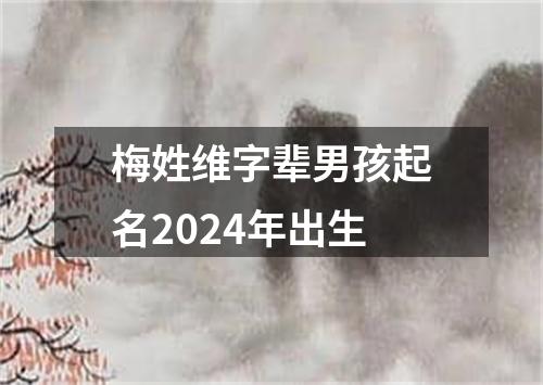 梅姓维字辈男孩起名2024年出生