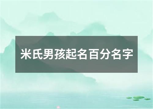 米氏男孩起名百分名字