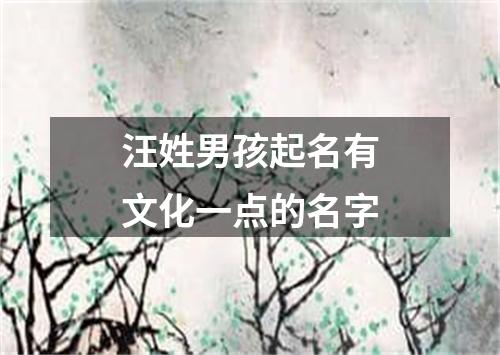 汪姓男孩起名有文化一点的名字