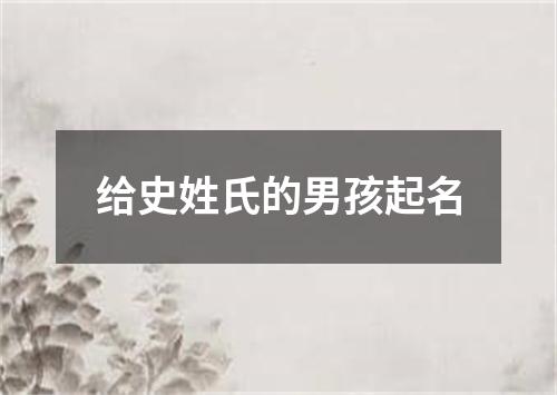 给史姓氏的男孩起名