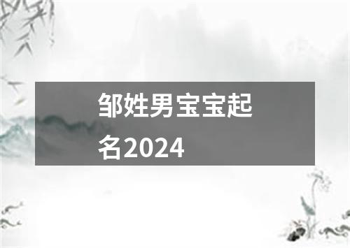 邹姓男宝宝起名2024