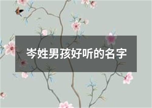 岑姓男孩好听的名字