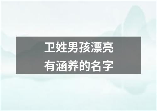 卫姓男孩漂亮有涵养的名字