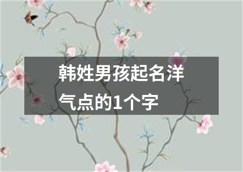 韩姓男孩起名洋气点的1个字