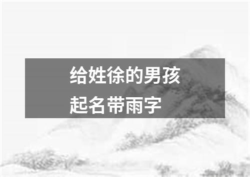 给姓徐的男孩起名带雨字