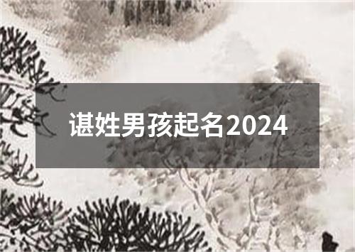 谌姓男孩起名2024