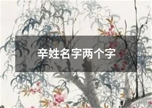 辛姓名字两个字