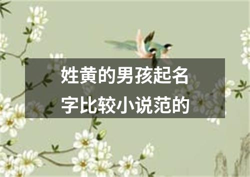 姓黄的男孩起名字比较小说范的