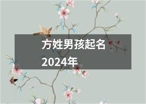 方姓男孩起名2024年