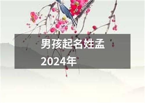 男孩起名姓孟2024年