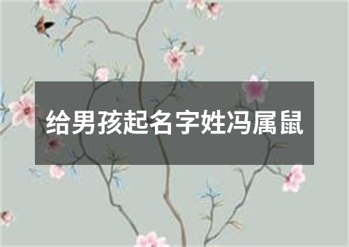 给男孩起名字姓冯属鼠