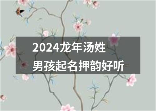 2024龙年汤姓男孩起名押韵好听