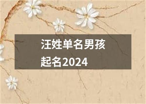 汪姓单名男孩起名2024