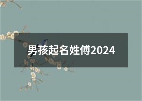 男孩起名姓傅2024