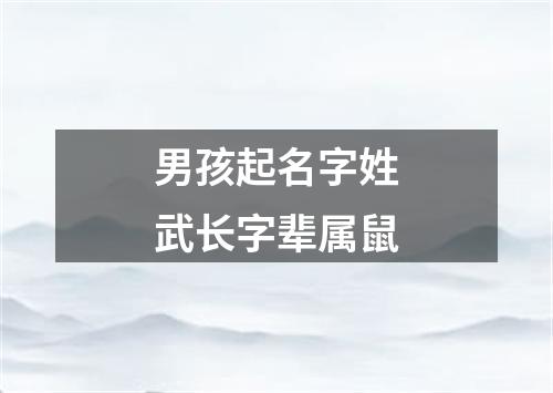 男孩起名字姓武长字辈属鼠