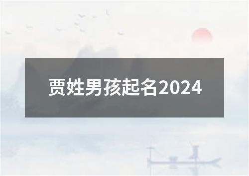 贾姓男孩起名2024