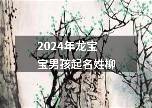 2024年龙宝宝男孩起名姓柳