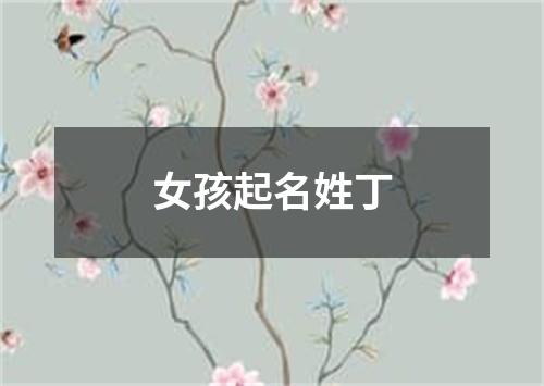 女孩起名姓丁