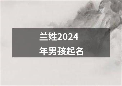 兰姓2024年男孩起名