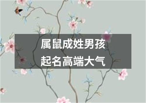 属鼠成姓男孩起名高端大气