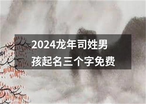 2024龙年司姓男孩起名三个字免费