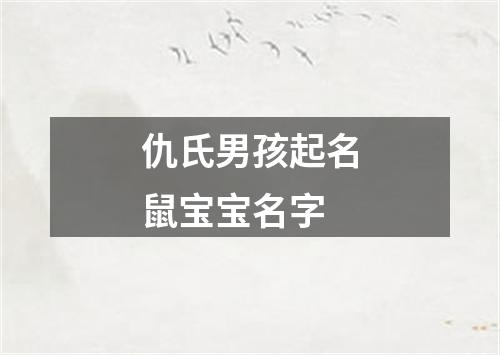 仇氏男孩起名鼠宝宝名字