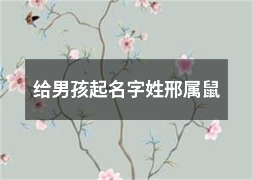 给男孩起名字姓邢属鼠