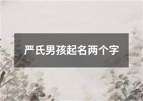 严氏男孩起名两个字